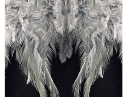 Grey Hen Feathers Sale