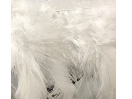 White Goose Feathers For Discount