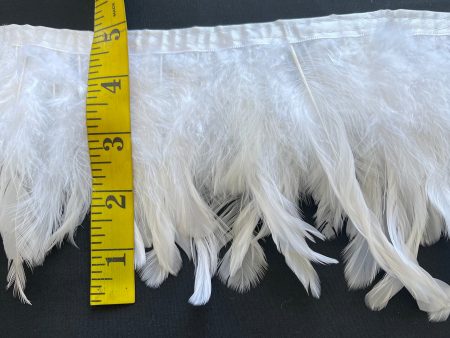 White Coque Feathers Online