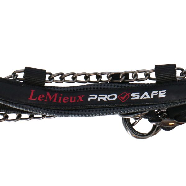 LeMieux Licol ProSafe Controller Noir Online