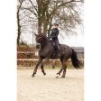 LeMieux Tapis de Selle Crystal Suede Dressage Marron Supply