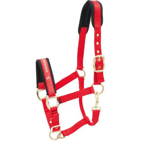 Kieffer Licol Nylon Rouge on Sale