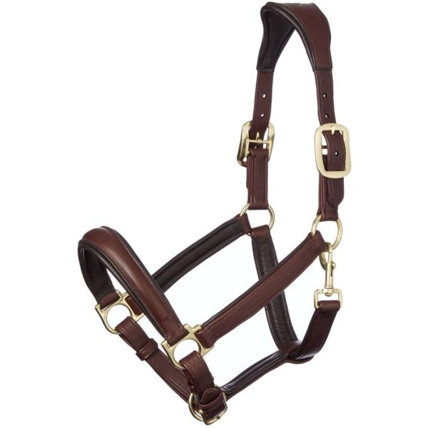 LeMieux Licol Cuir Anatomique Marron Online