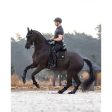 LeMieux Tapis de Selle de Dressage Puissance Suede Noir Online Sale