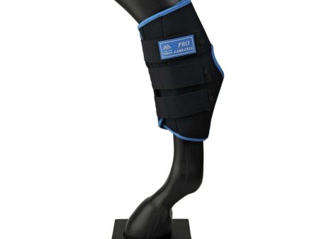 Lami-Cell Ice Boots pour Talon Noir Bleu For Discount