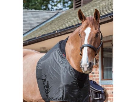 LeMieux Protection de Poitrail Bib Noir Online Hot Sale