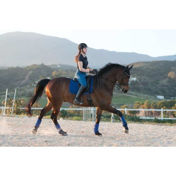 LeMieux Tapis de Selle Luxury Square Dressage Benetton Blue Sale