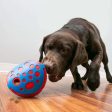 KONG Jouets pour Chien Rewards Wally Online now